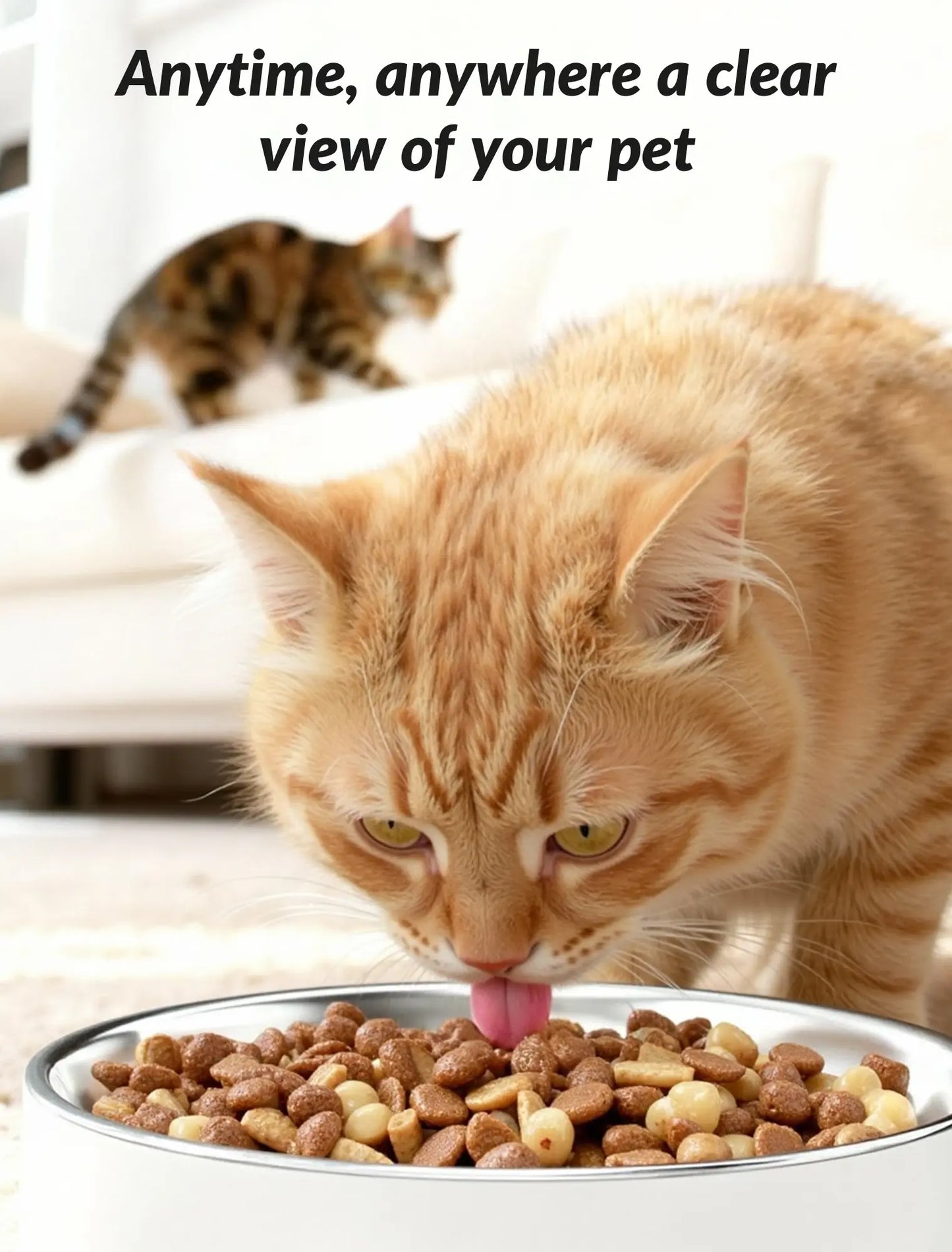 Smart Automatic Cat Feeder with Camera, 5L Timed Food Dispenser, Two-Way Audio & App Control, Includes Desiccant Bag for Cats and Dogs